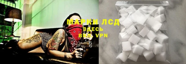 тгк Алзамай