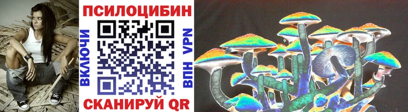 Галлюциногенные грибы GOLDEN TEACHER  купить   Муром 